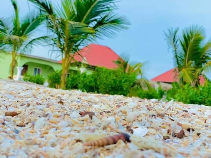Bosofet Beach And Creek Lodge Sanyang Buitenkant foto
