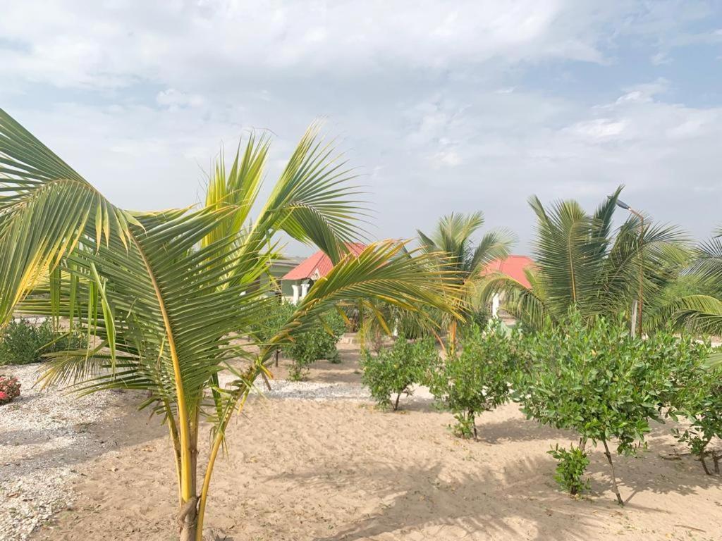 Bosofet Beach And Creek Lodge Sanyang Buitenkant foto