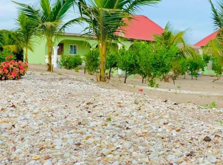 Bosofet Beach And Creek Lodge Sanyang Buitenkant foto